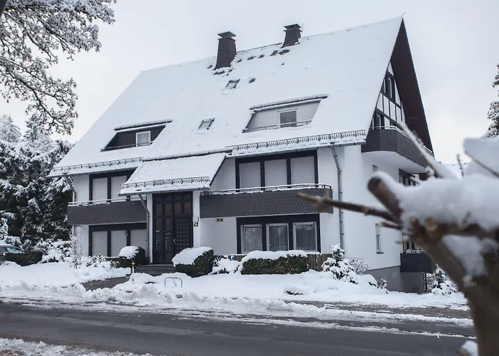 Apartment Brink Fichtenweg 43 Winterberg